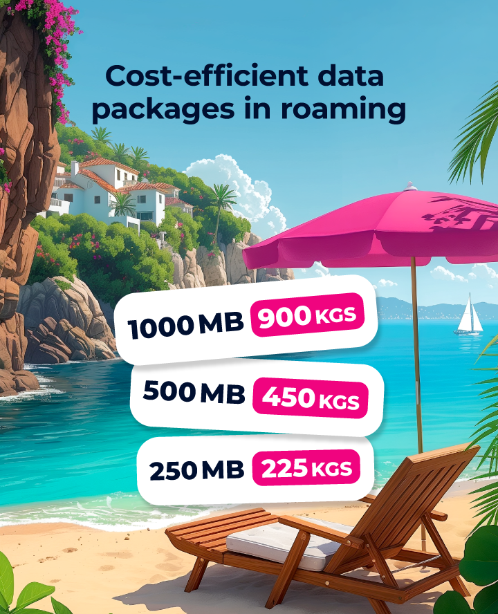 Internet roaming packages