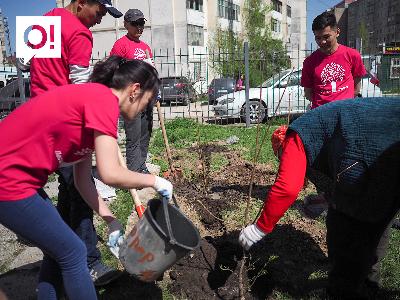 Цвети, мой город!