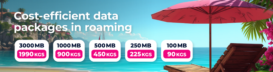 Internet roaming packages