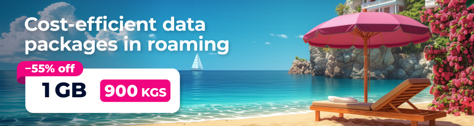 Internet Roaming 1 GB