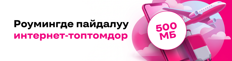 «Интернет-роуминг 500 МБ»